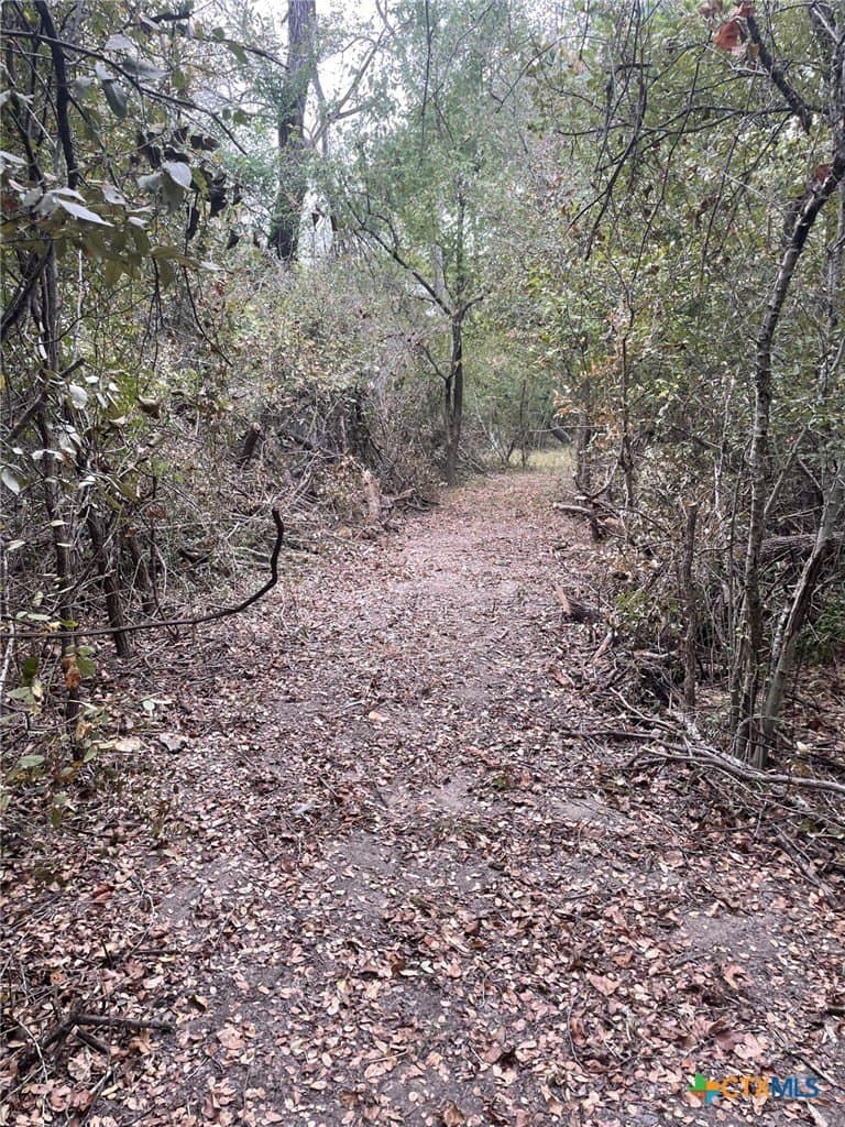 233.08 acres in Bell County - photo 21