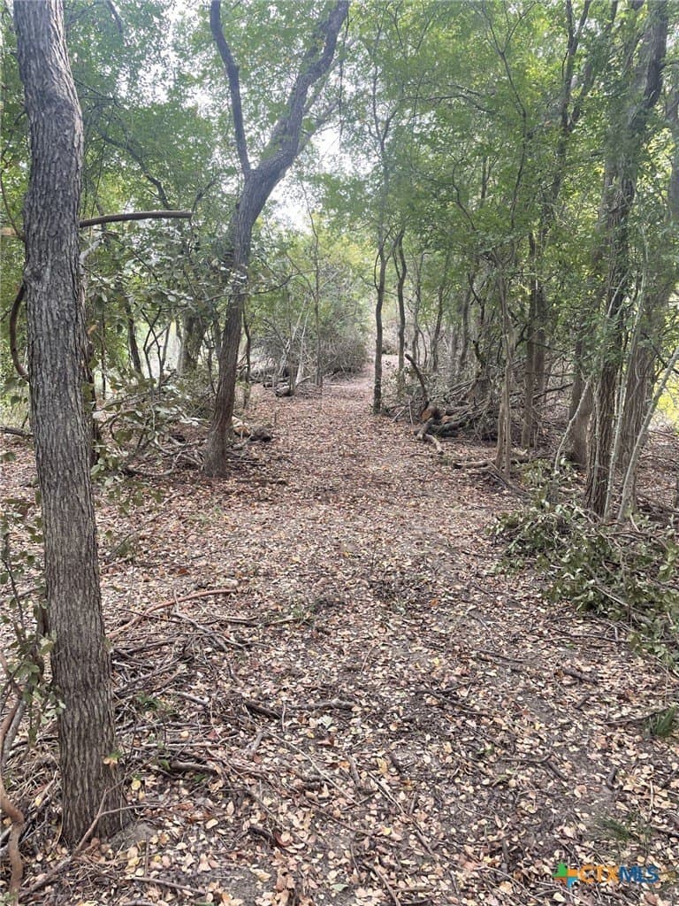 233.08 acres in Bell County - photo 17