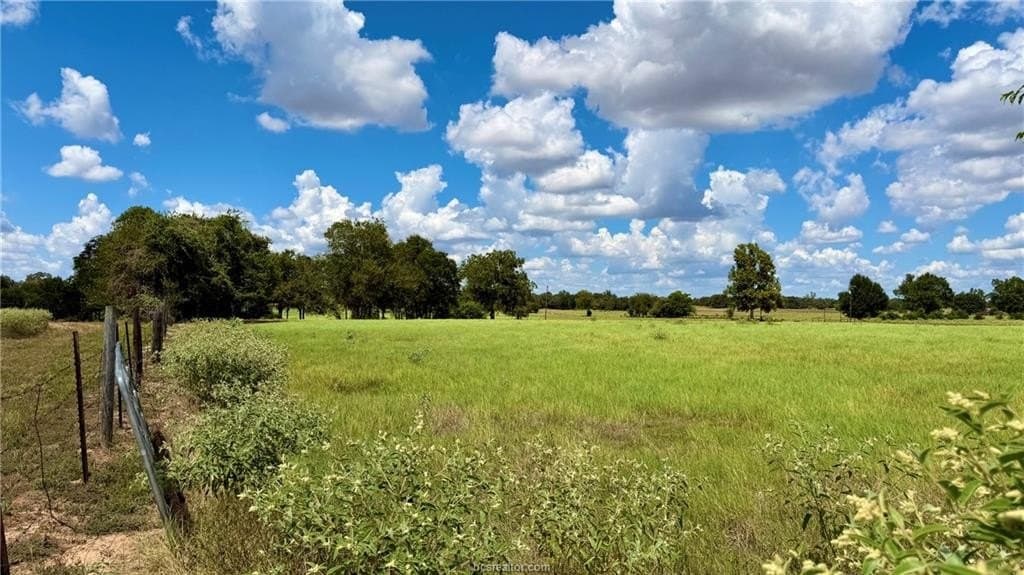 11.5 acres in Milam County - photo 7