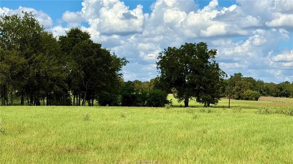 11.5 acres in Milam County - photo 9