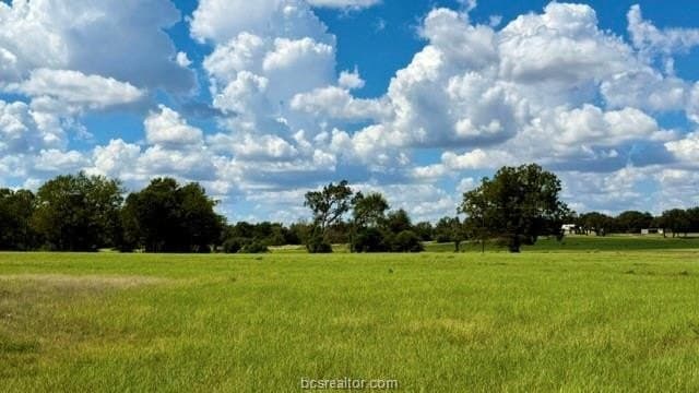 11.5 acres in Milam County - photo 3