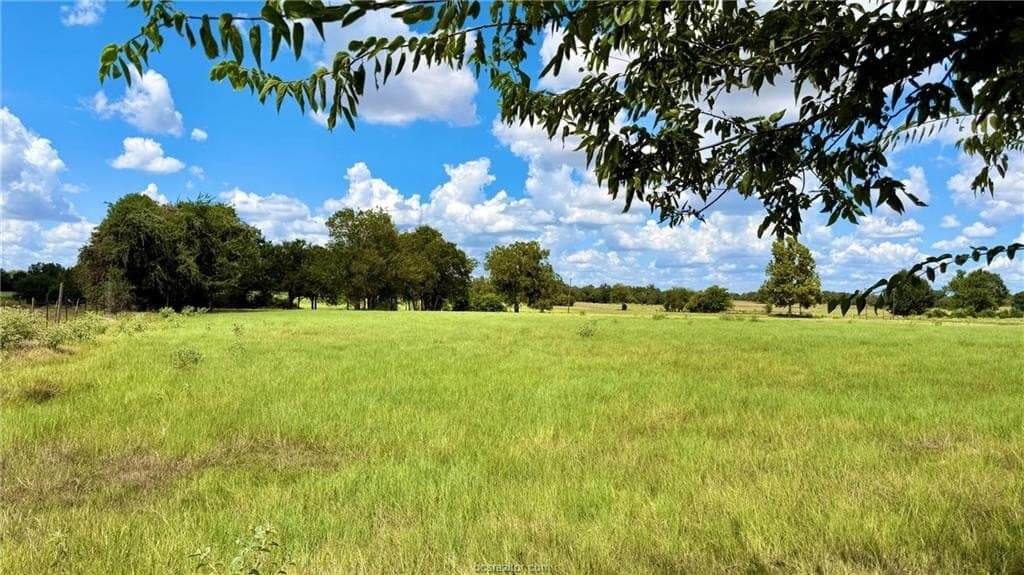 11.5 acres in Milam County - photo 2