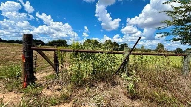 11.5 acres in Milam County - photo 10