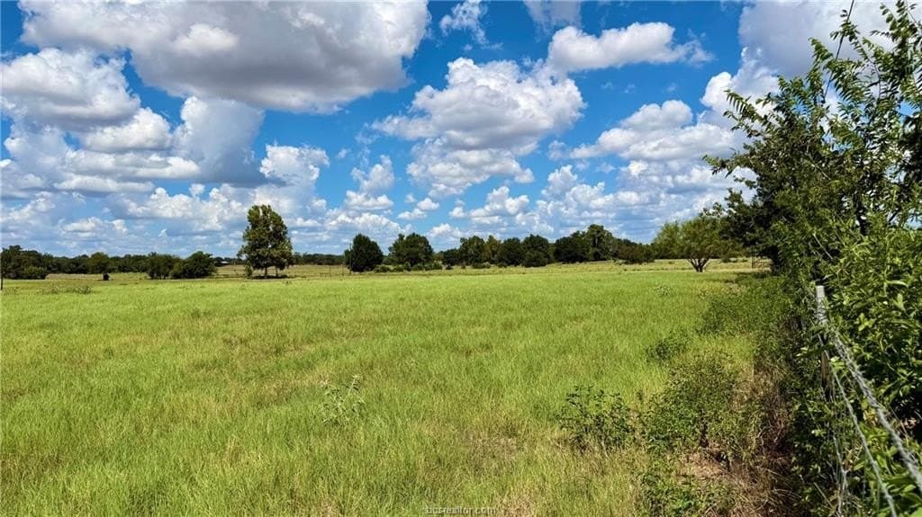 11.5 acres in Milam County - photo 8