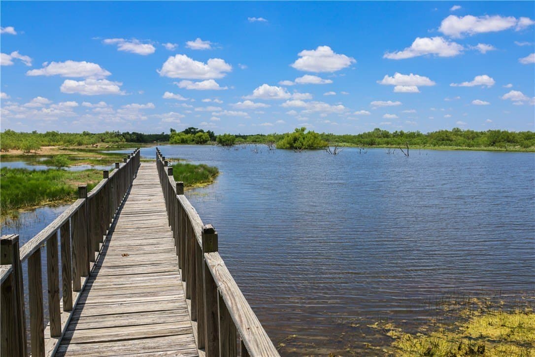 2,427 acres in Dimmit County gallery image 2