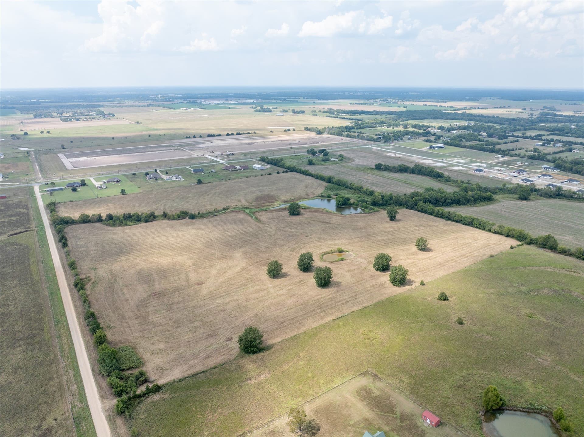 42.21 acres in Lamar County gallery image 4