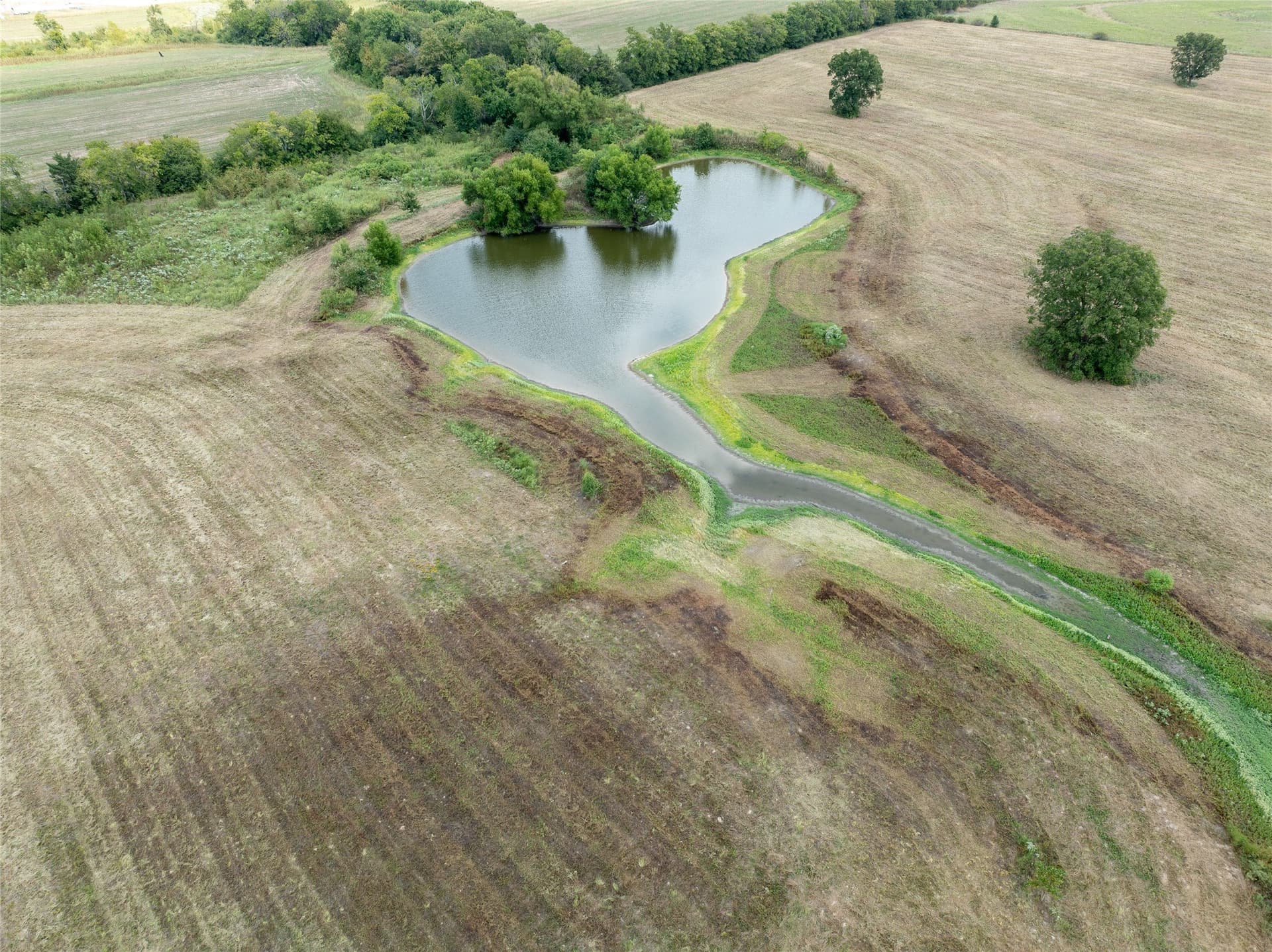 42.21 acres in Lamar County gallery image 3