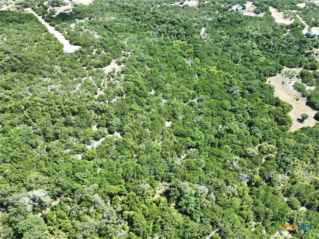 7.21 acres in Coryell County - photo 33