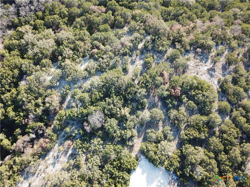 7.21 acres in Coryell County - photo 22