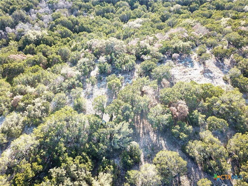 7.21 acres in Coryell County - photo 18