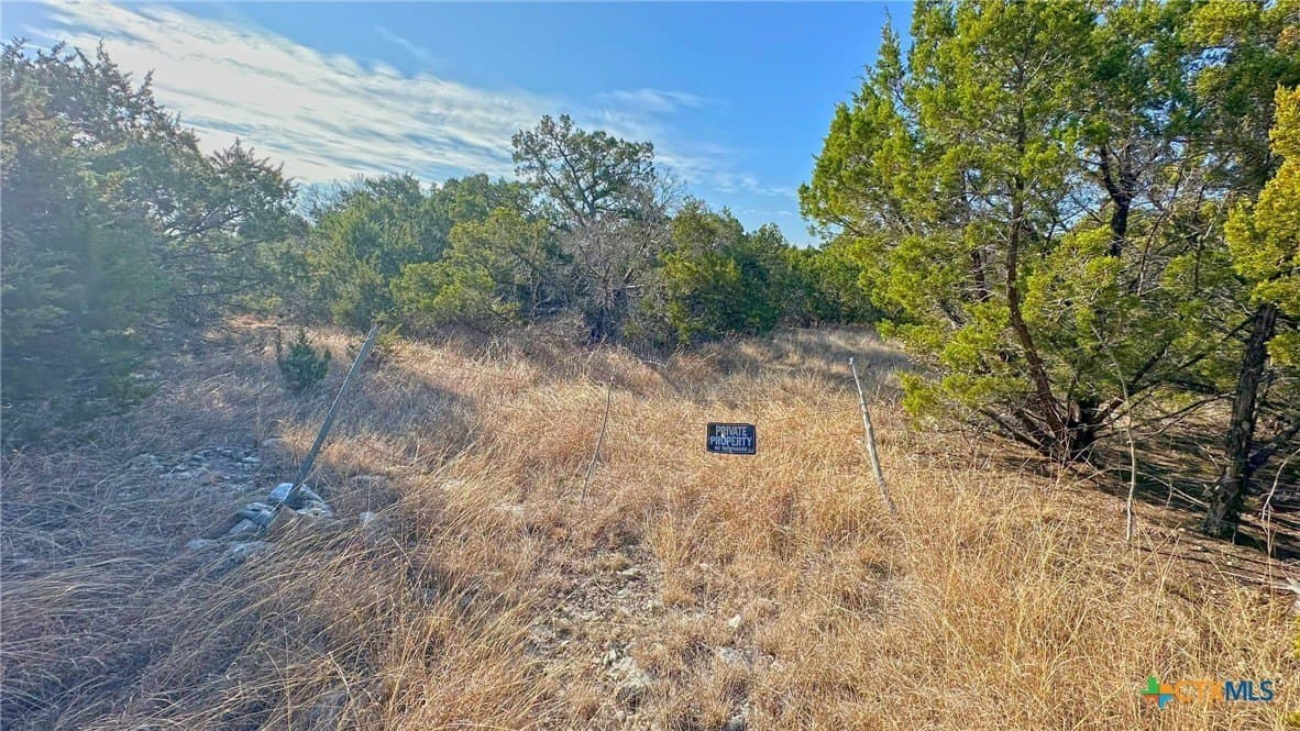 7.21 acres in Coryell County gallery image 2