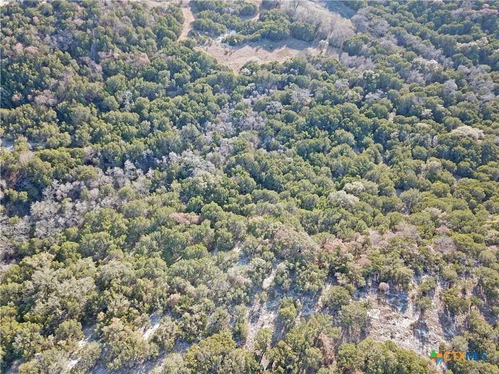 7.21 acres in Coryell County - photo 21