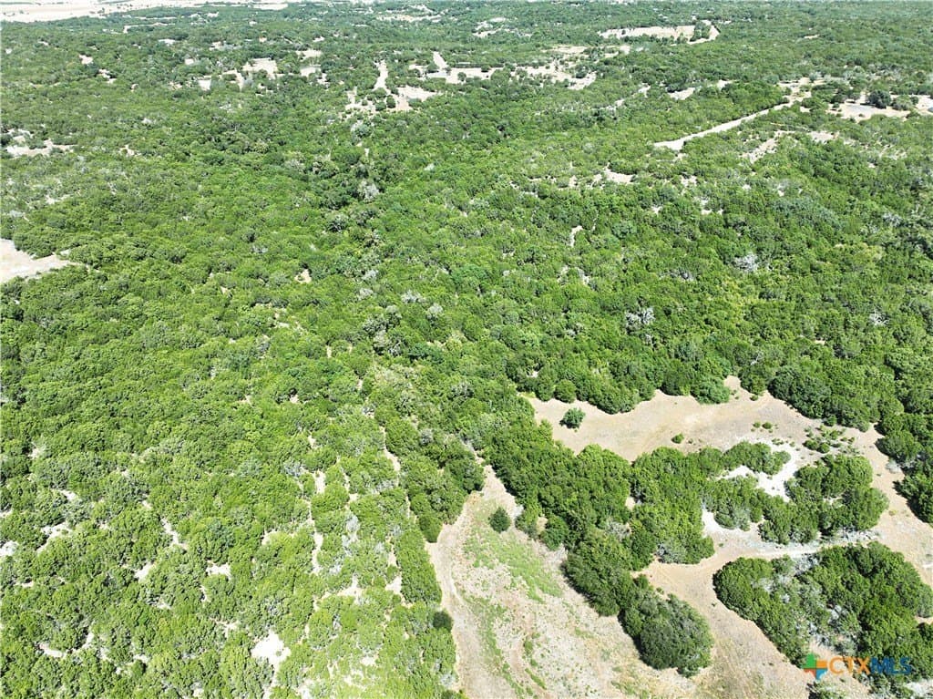 7.21 acres in Coryell County - photo 29