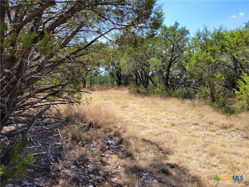 7.21 acres in Coryell County - photo 34