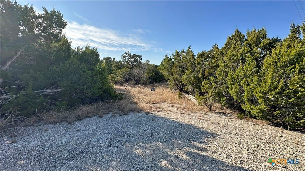 7.21 acres in Coryell County gallery image 3