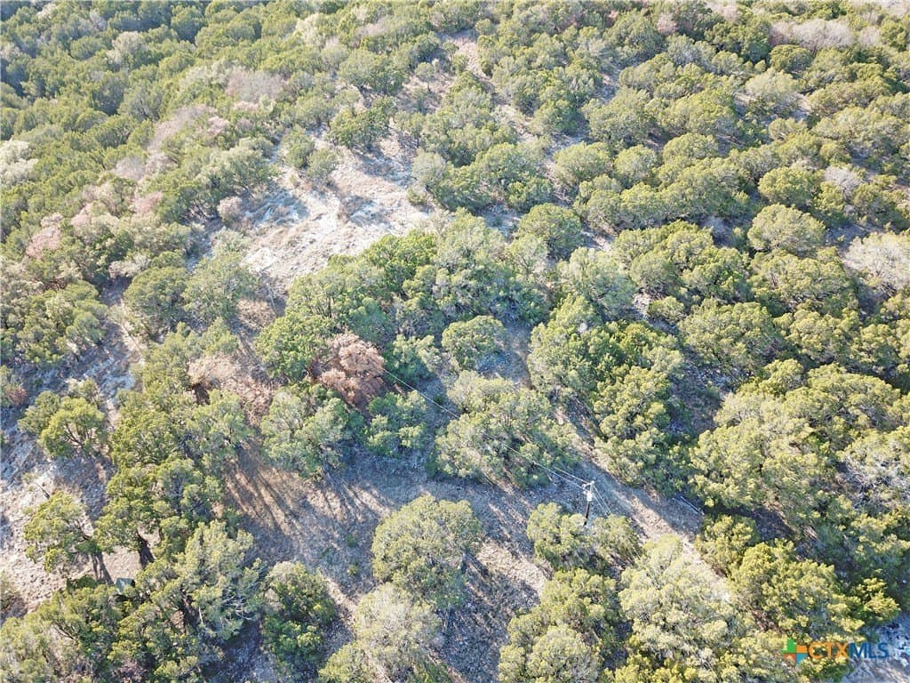 7.21 acres in Coryell County - photo 20