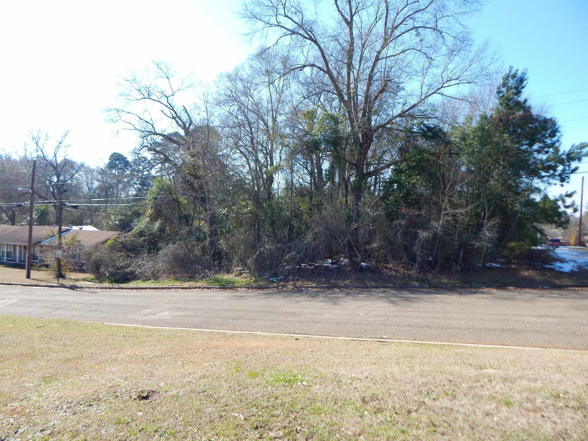 0.3 acres in Upshur County gallery image 2