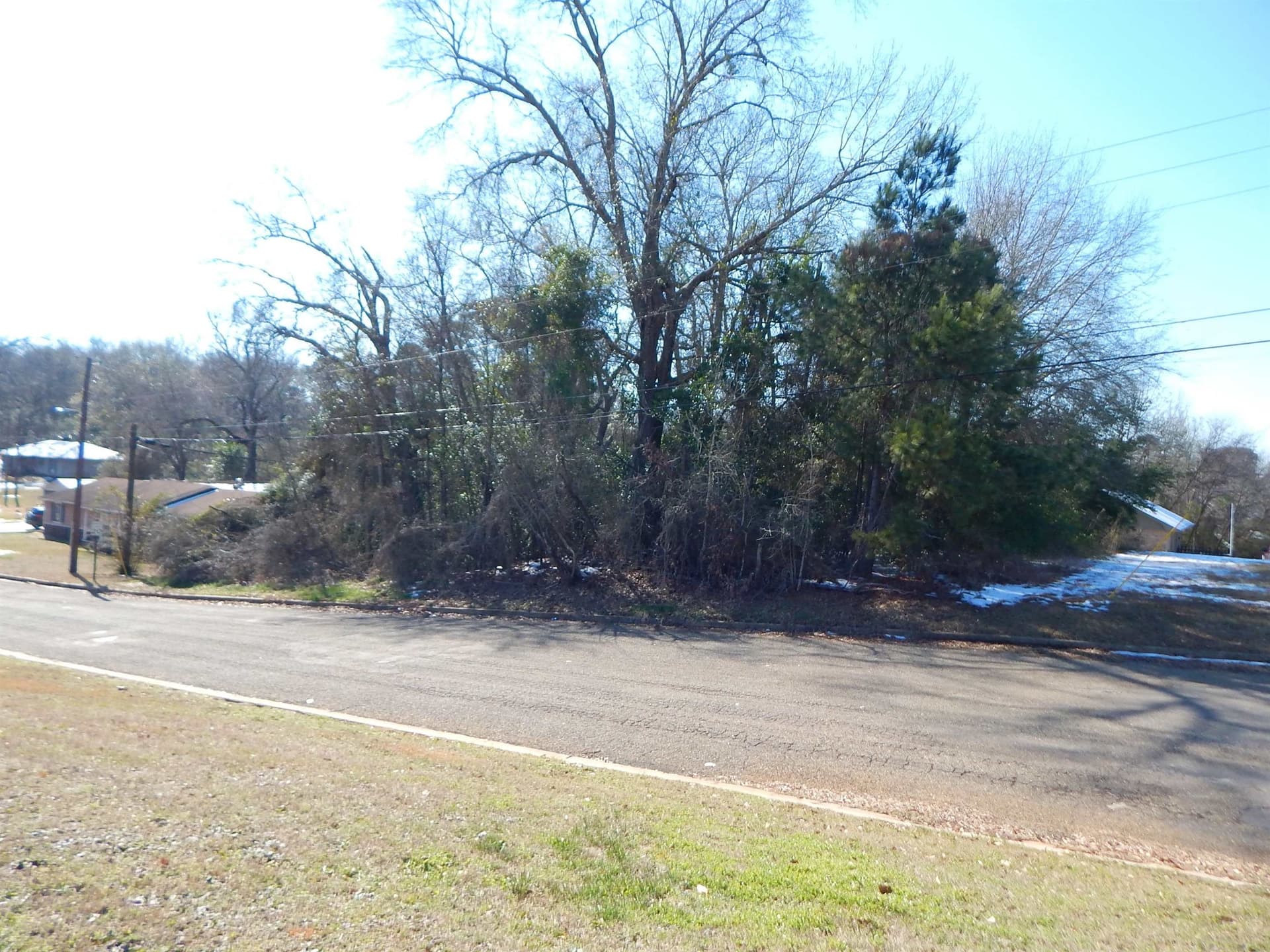 0.3 acres in Upshur County gallery image 3