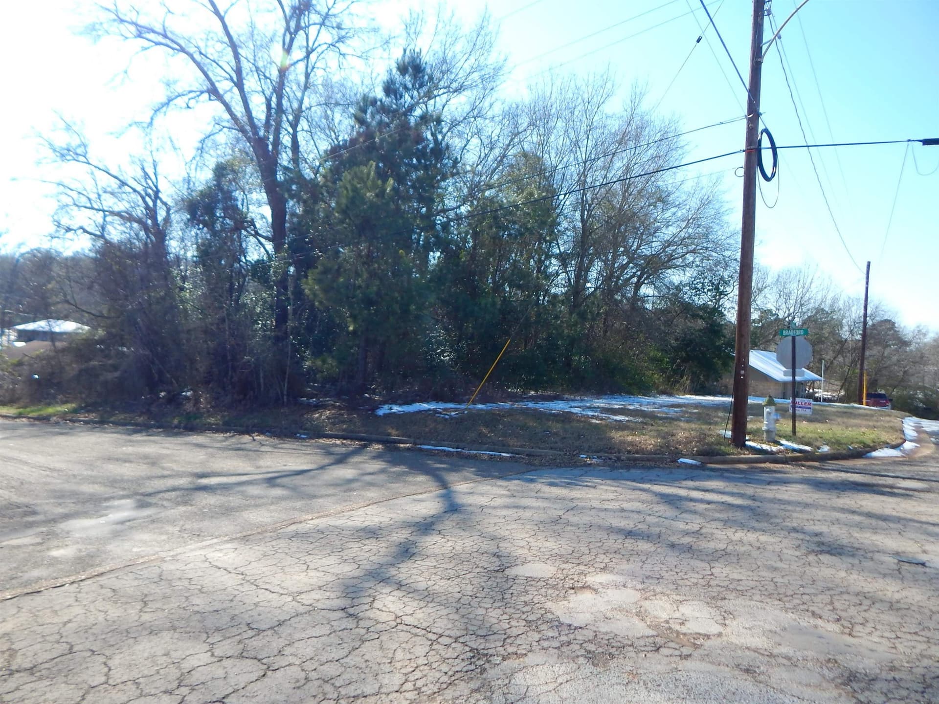 0.3 acres in Upshur County gallery image 4
