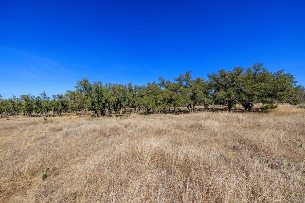 174.85 acres in Gillespie County - photo 37