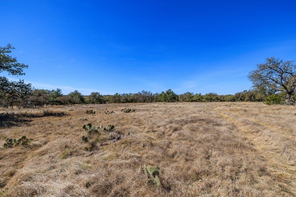 174.85 acres in Gillespie County - photo 9