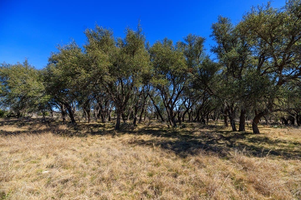 174.85 acres in Gillespie County - photo 11