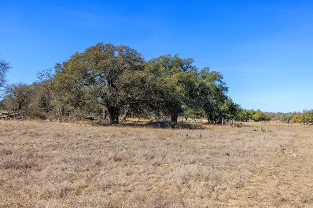 174.85 acres in Gillespie County - photo 38
