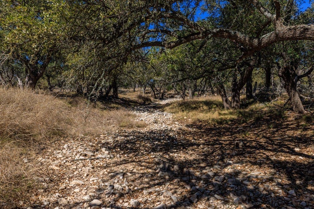 174.85 acres in Gillespie County - photo 41