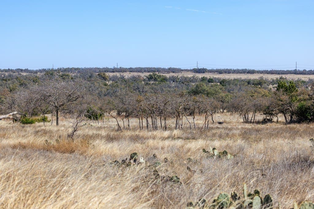 174.85 acres in Gillespie County - photo 8