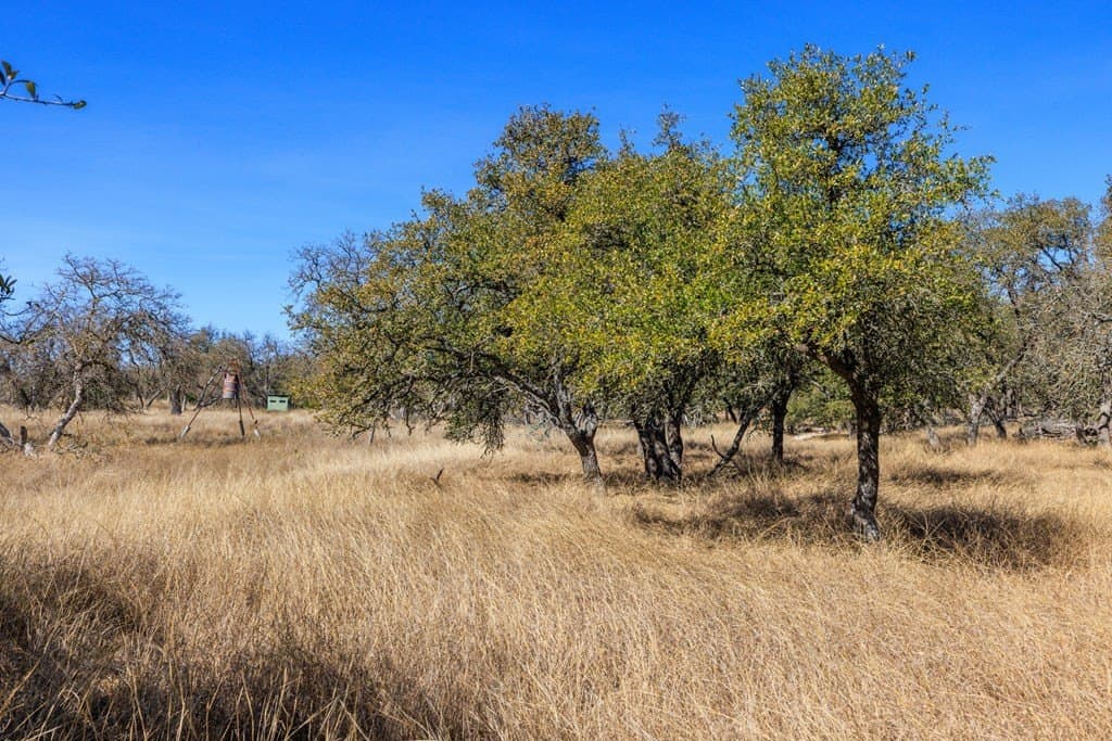 174.85 acres in Gillespie County - photo 42