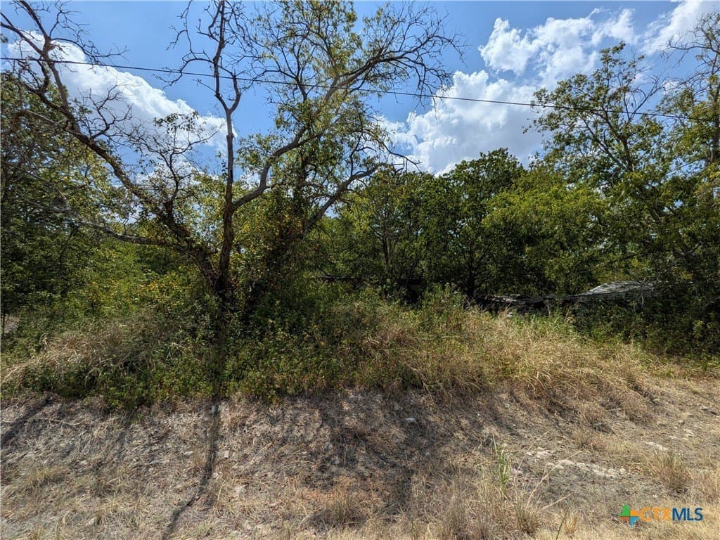 0.35 acres in Bell County - photo 7