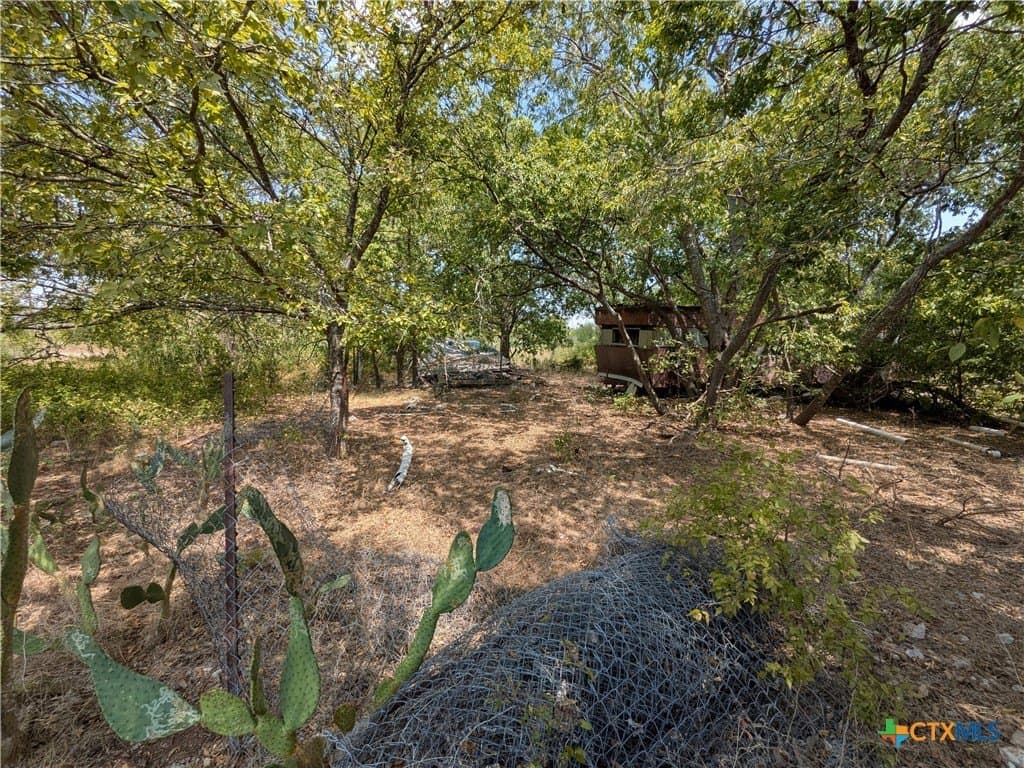 0.35 acres in Bell County - photo 6