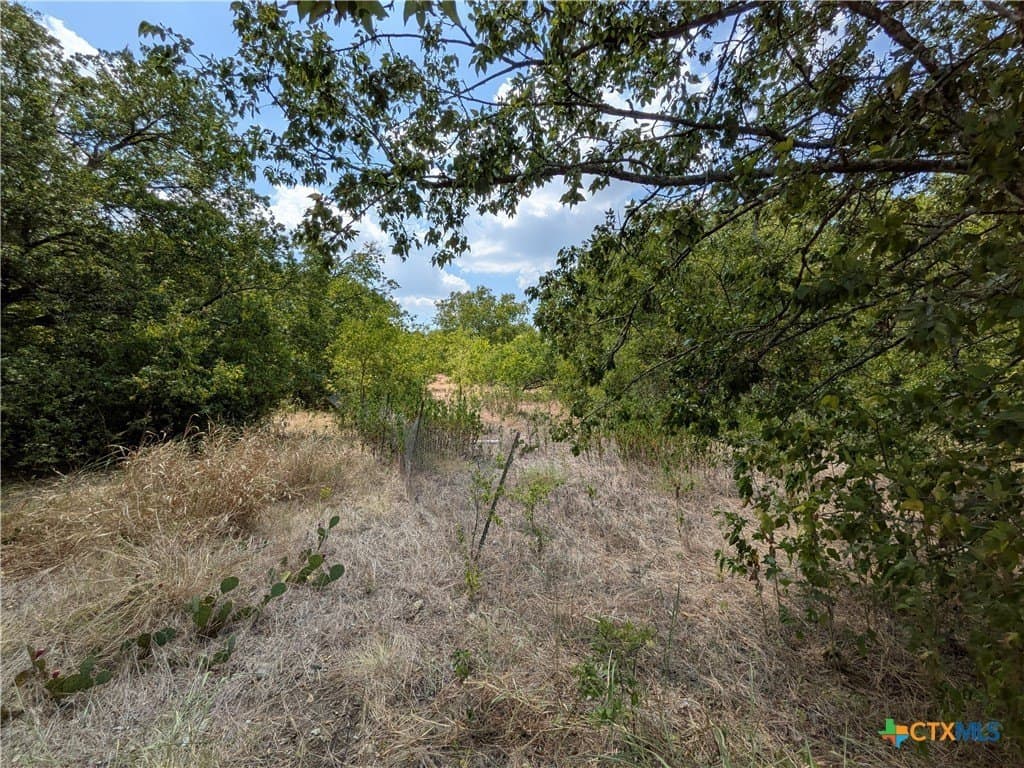 0.35 acres in Bell County - photo 8