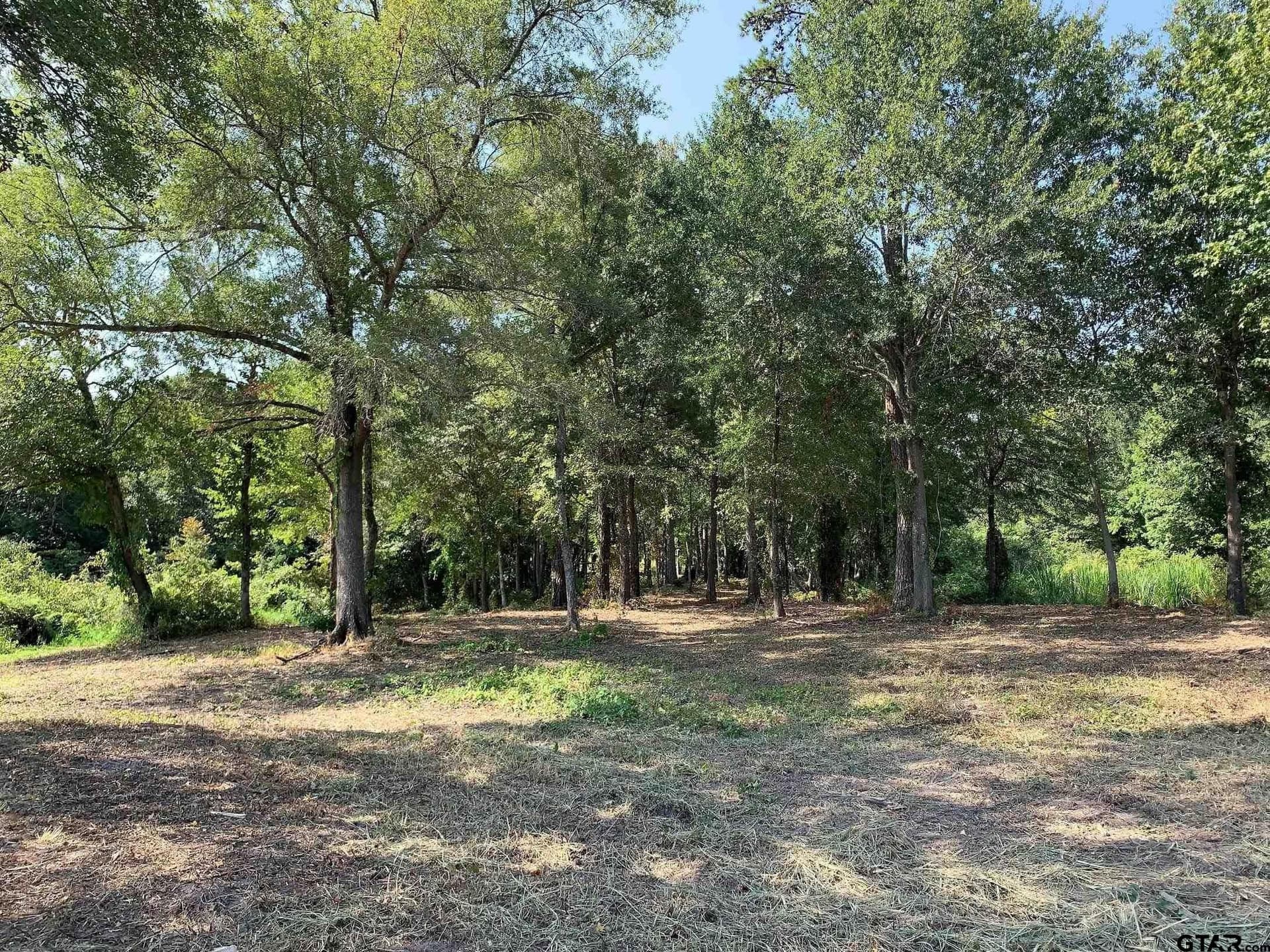 1.63 acres in Henderson County featured view