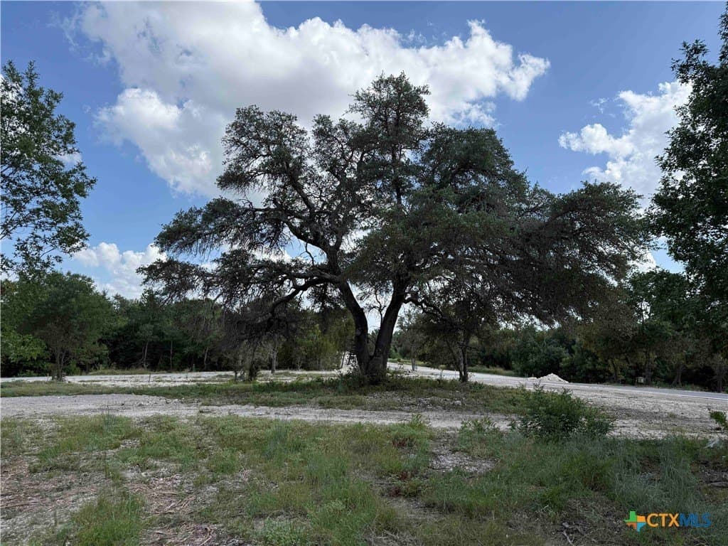 1.12 acres in Bell County gallery image 4