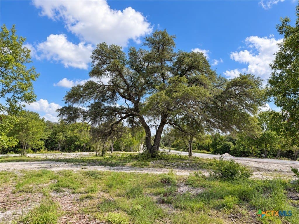 1.12 acres in Bell County - photo 3