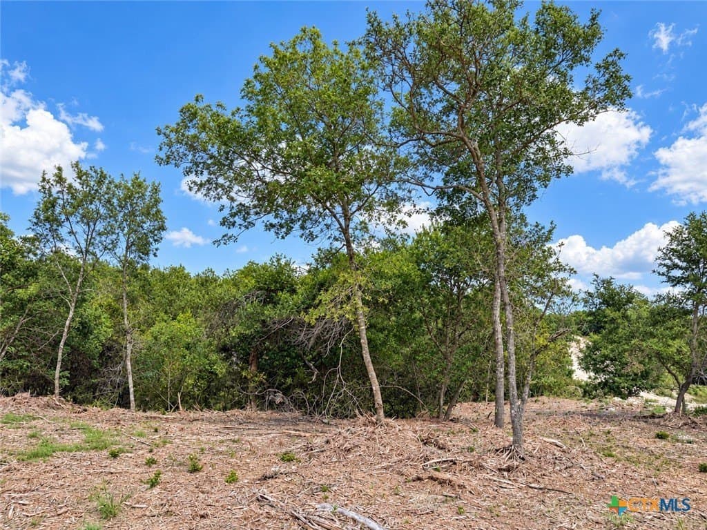 1.12 acres in Bell County - photo 4