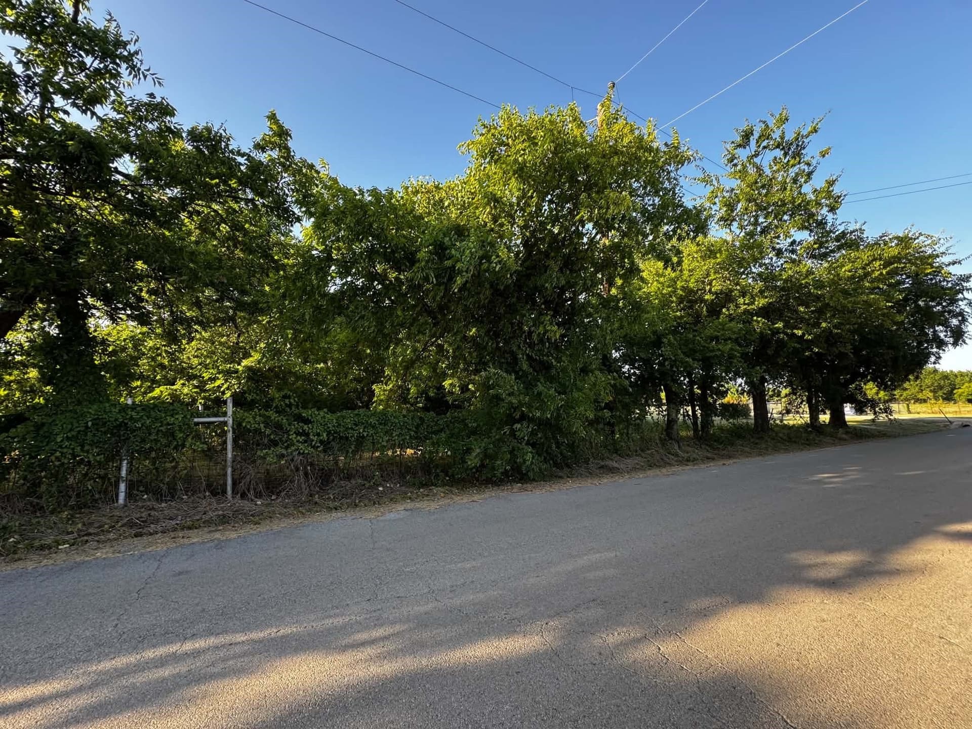 2.35 acres in Denton County - photo 8