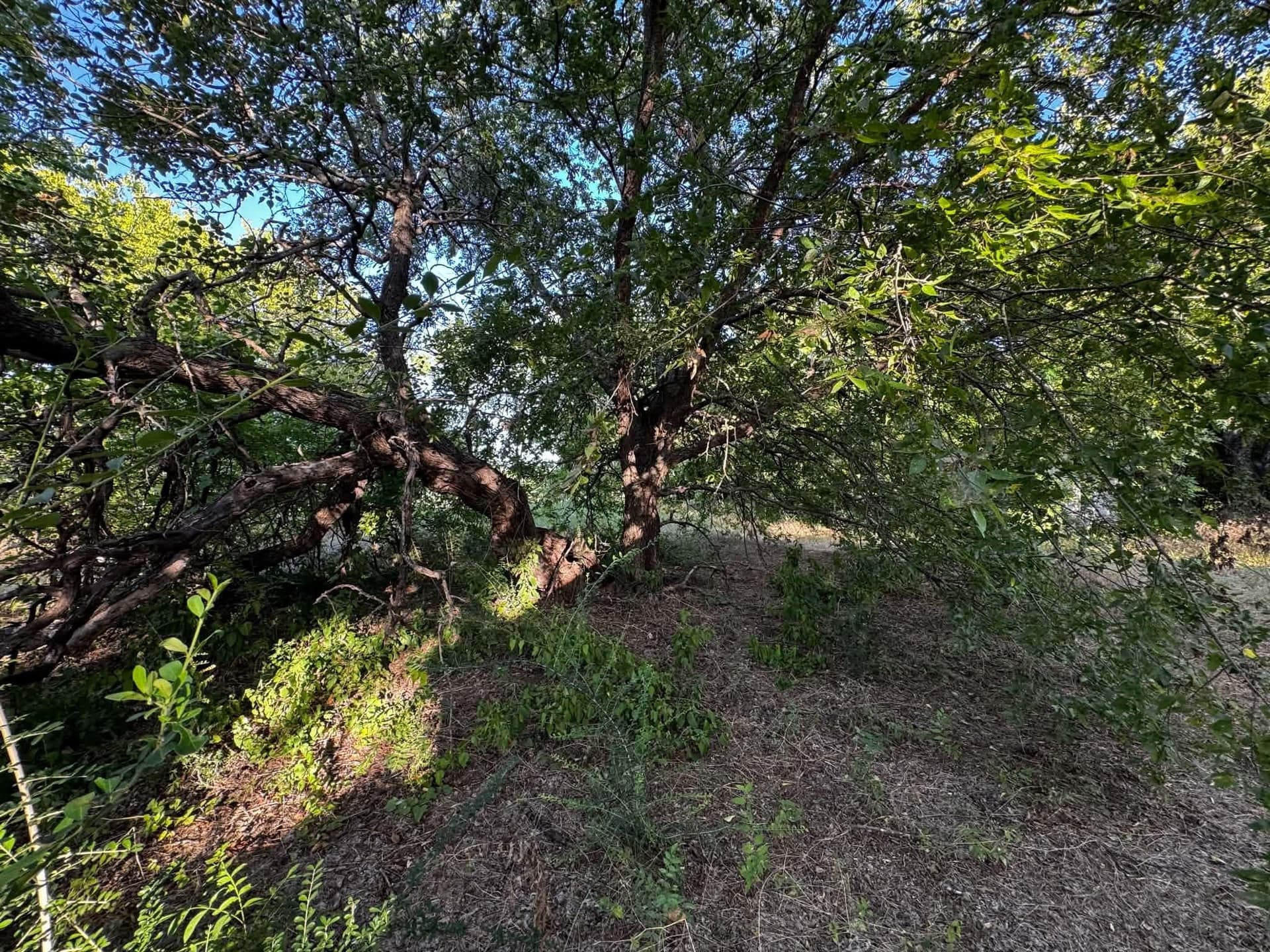 2.35 acres in Denton County - photo 27