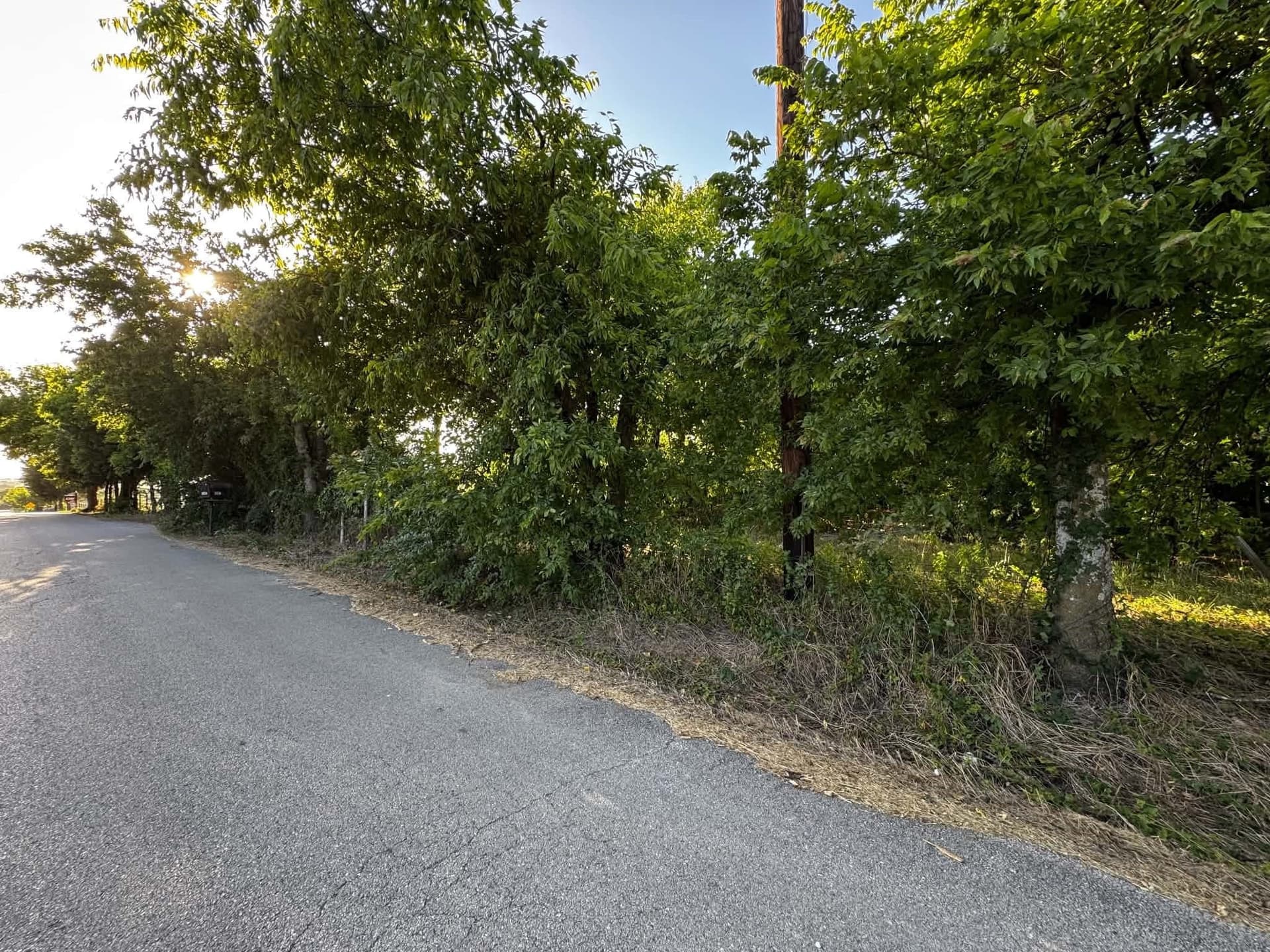 2.35 acres in Denton County - photo 6