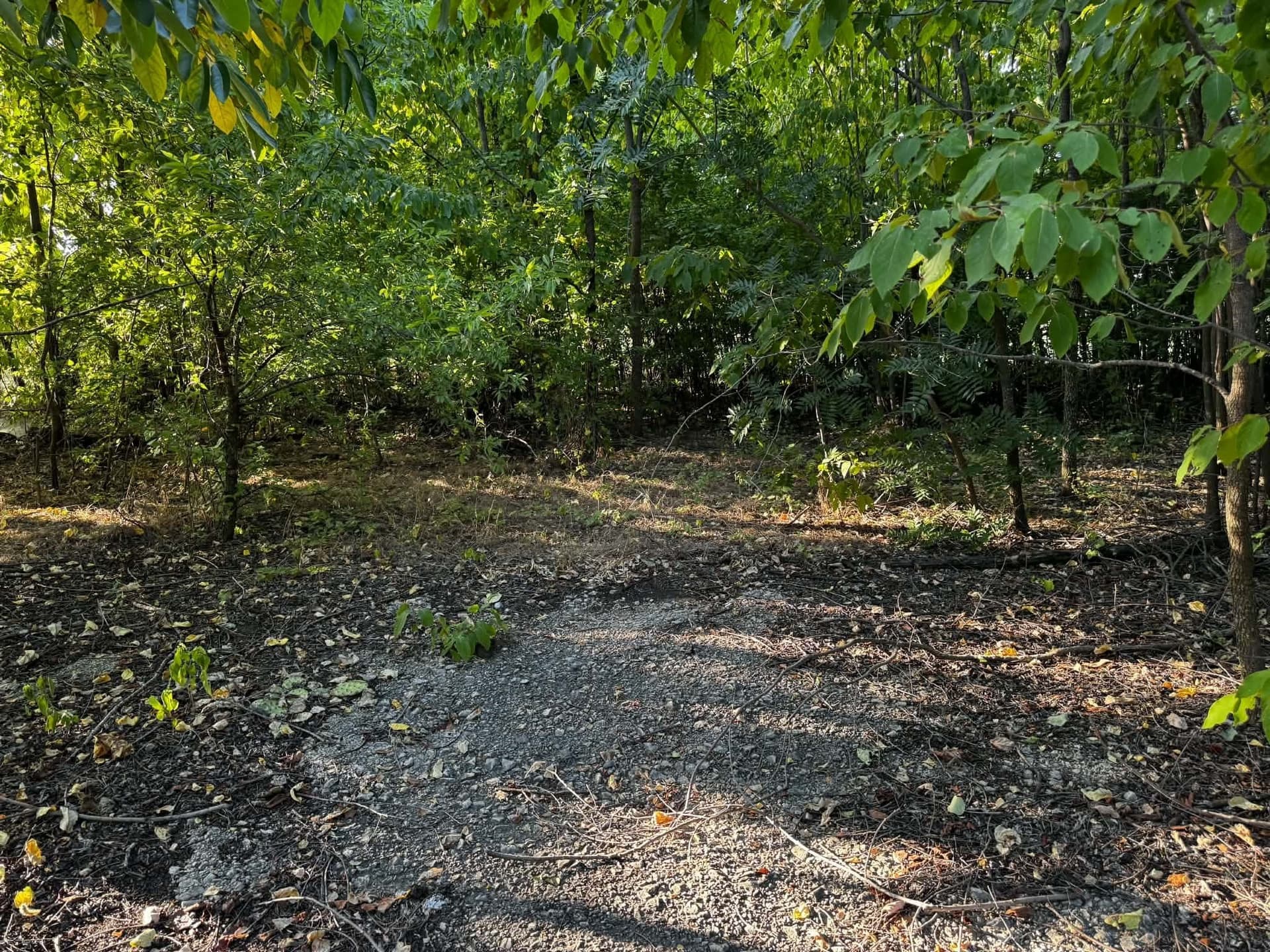2.35 acres in Denton County - photo 3