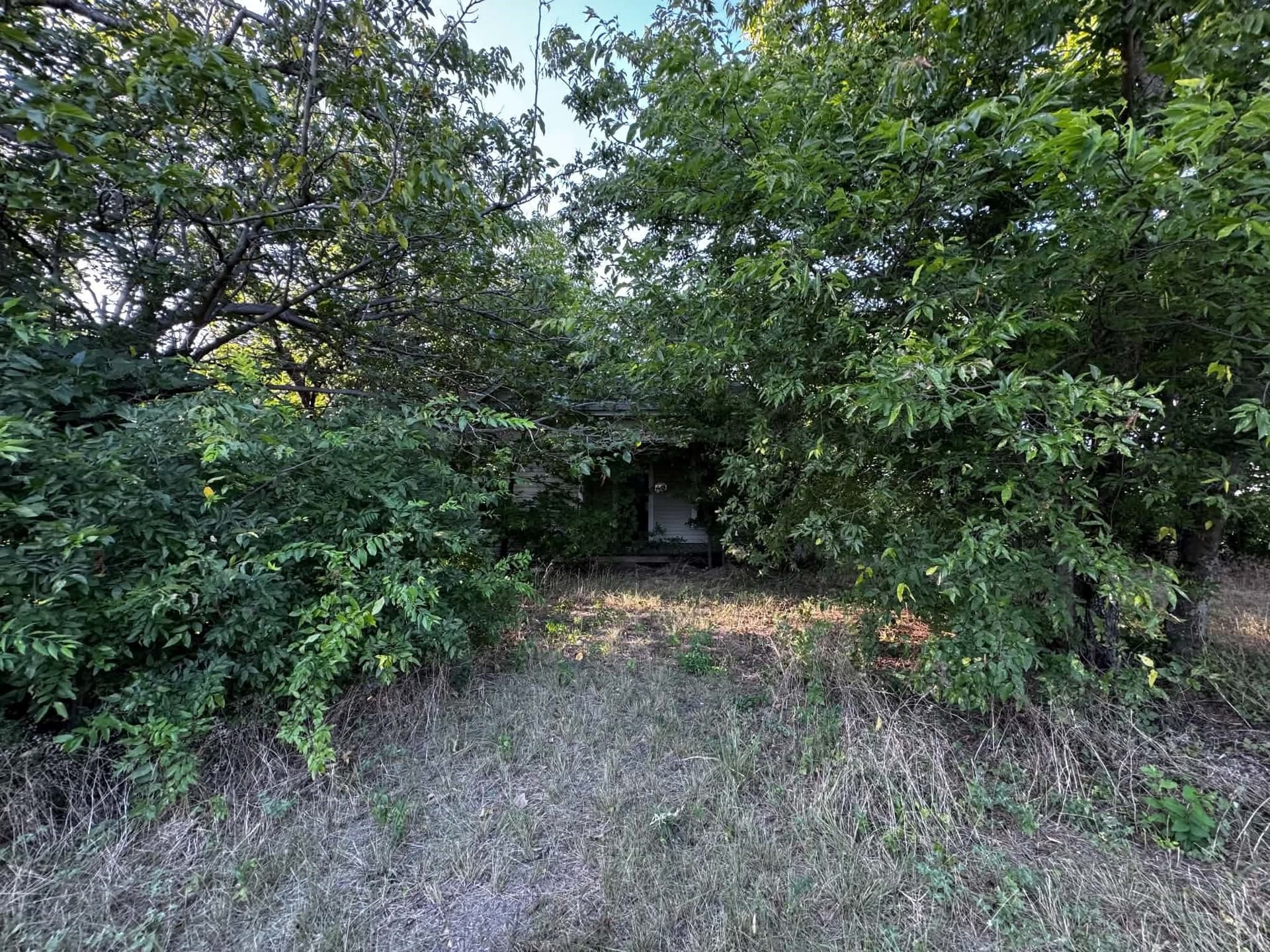 2.35 acres in Denton County - photo 16