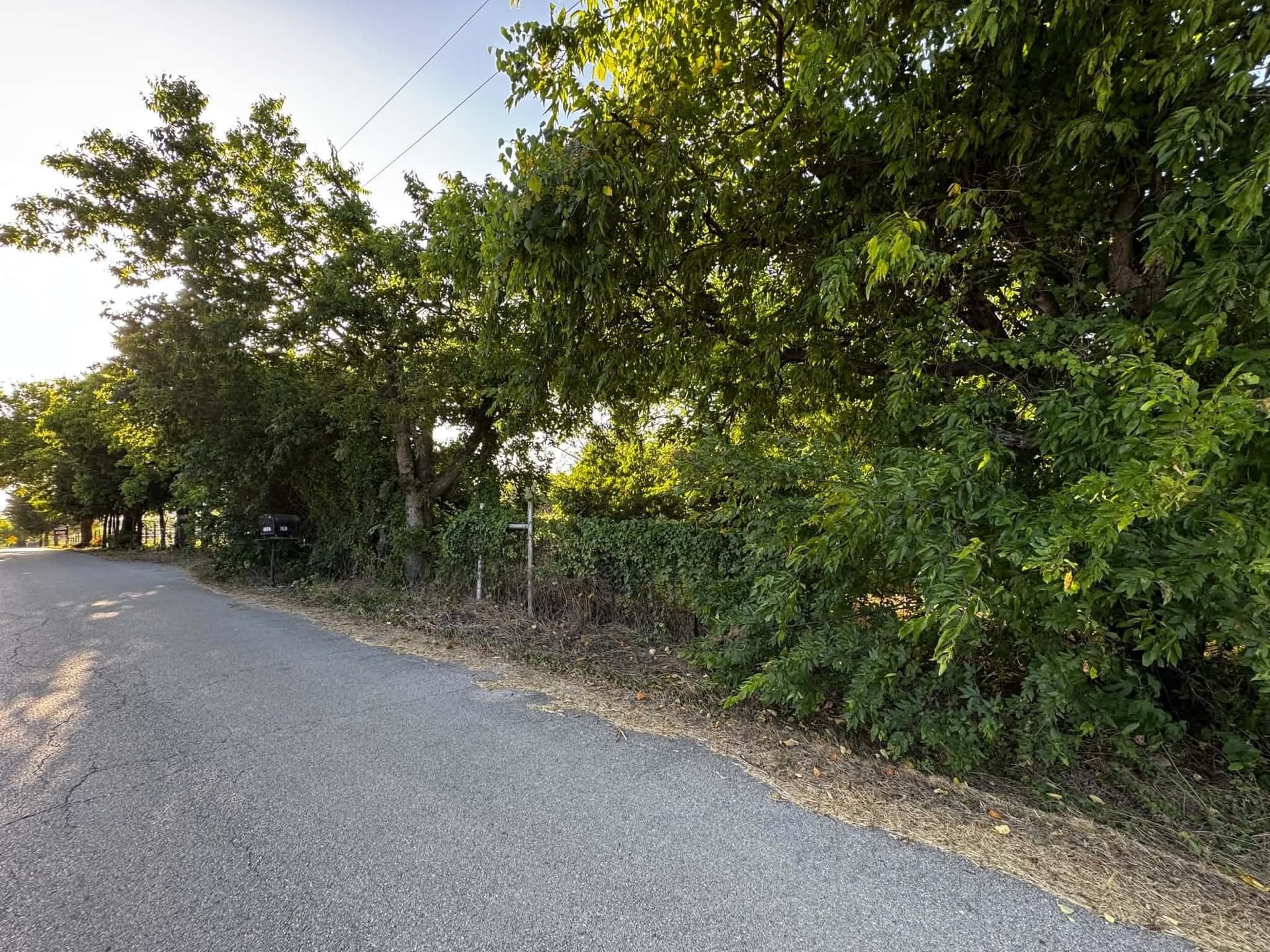 2.35 acres in Denton County - photo 7