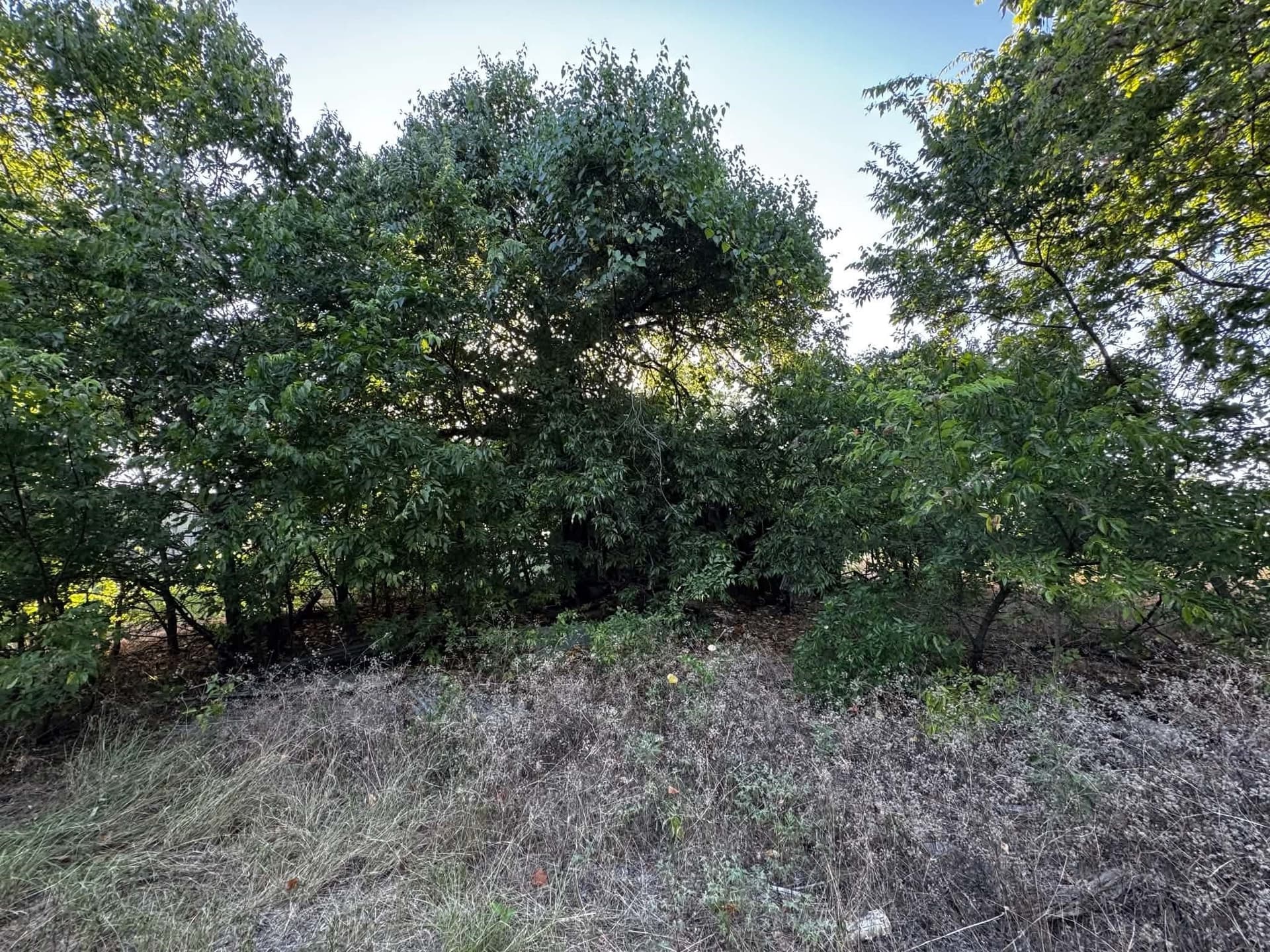 2.35 acres in Denton County - photo 25