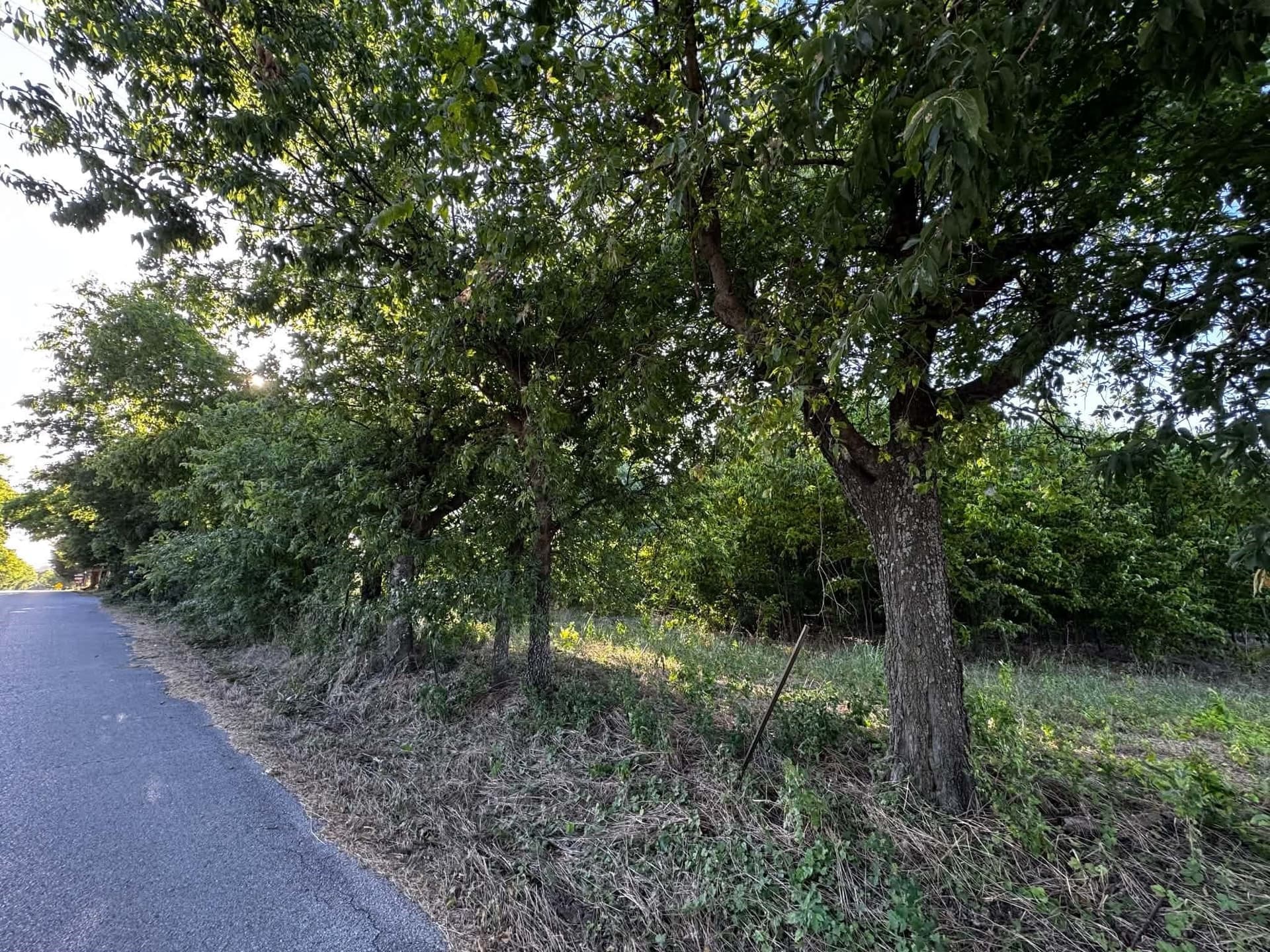 2.35 acres in Denton County - photo 2