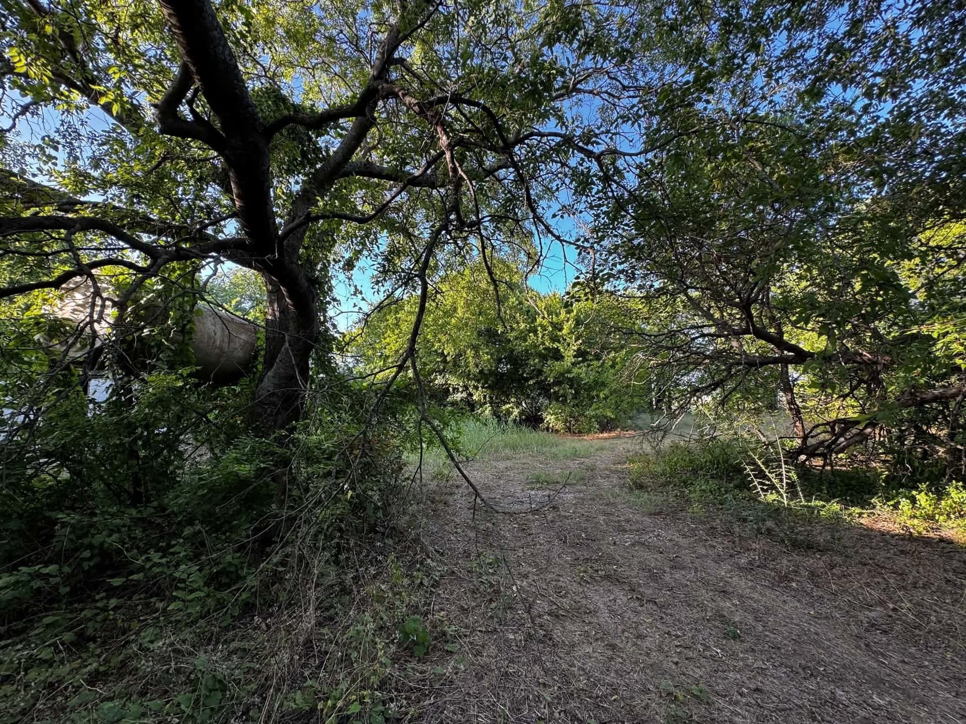 2.35 acres in Denton County - photo 28