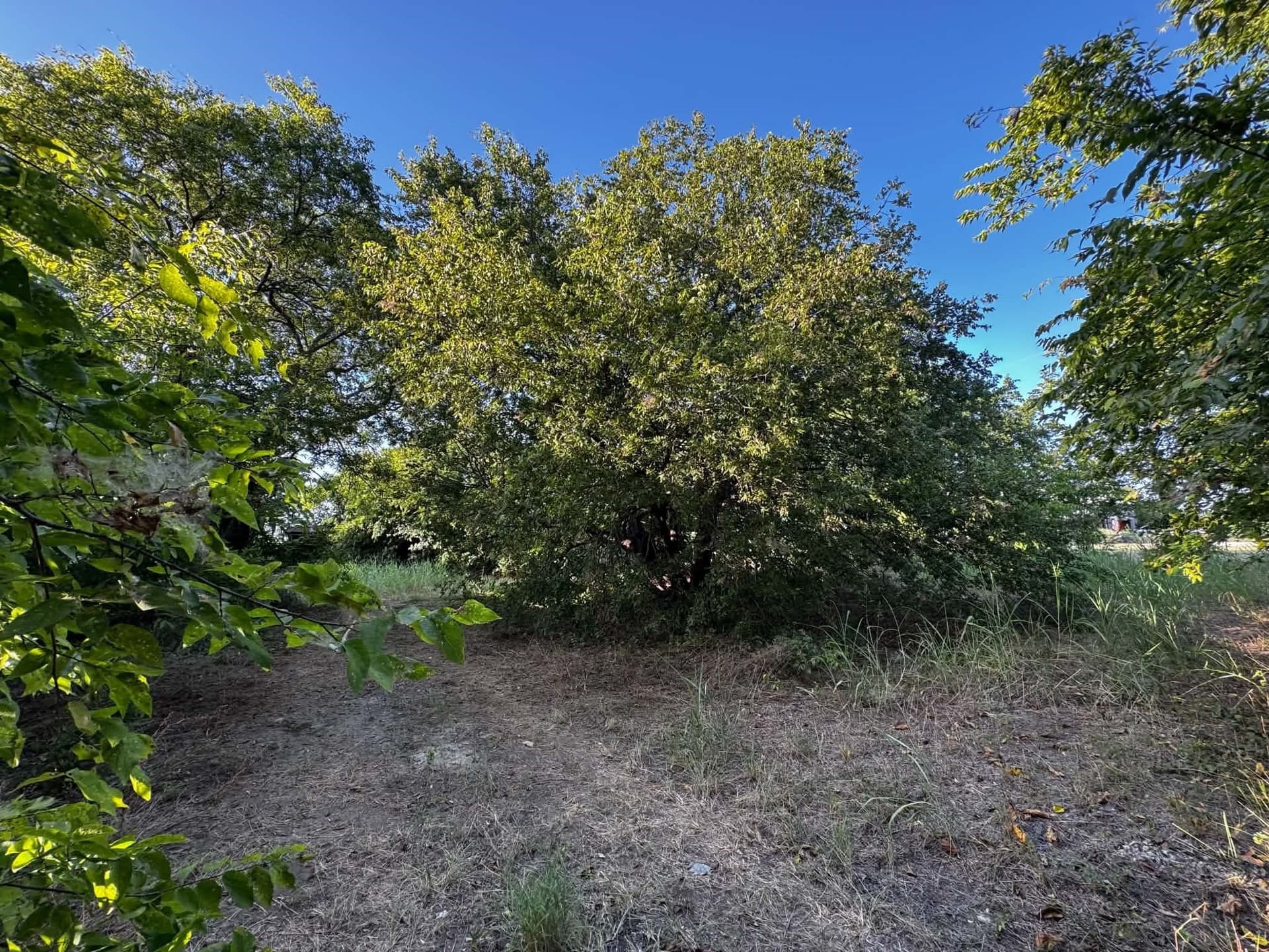 2.35 acres in Denton County - photo 31