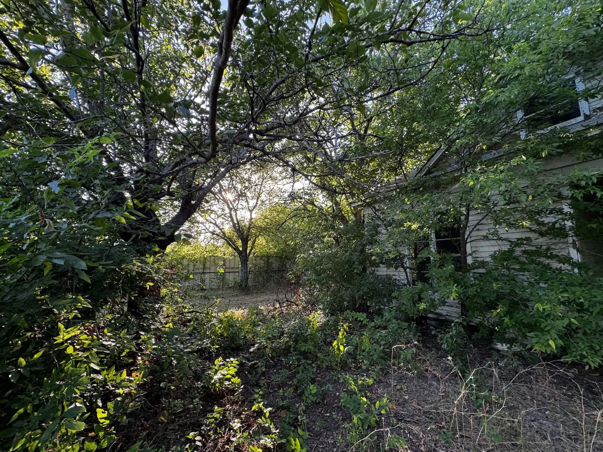 2.35 acres in Denton County - photo 14