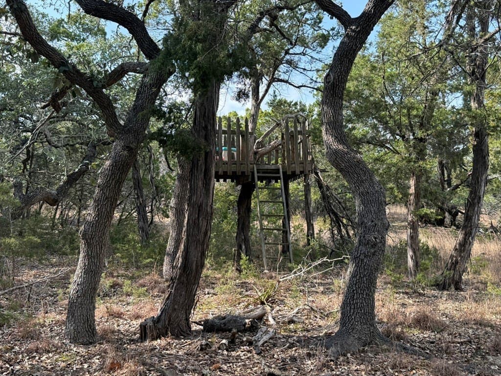 10.89 acres in Comal County - photo 23