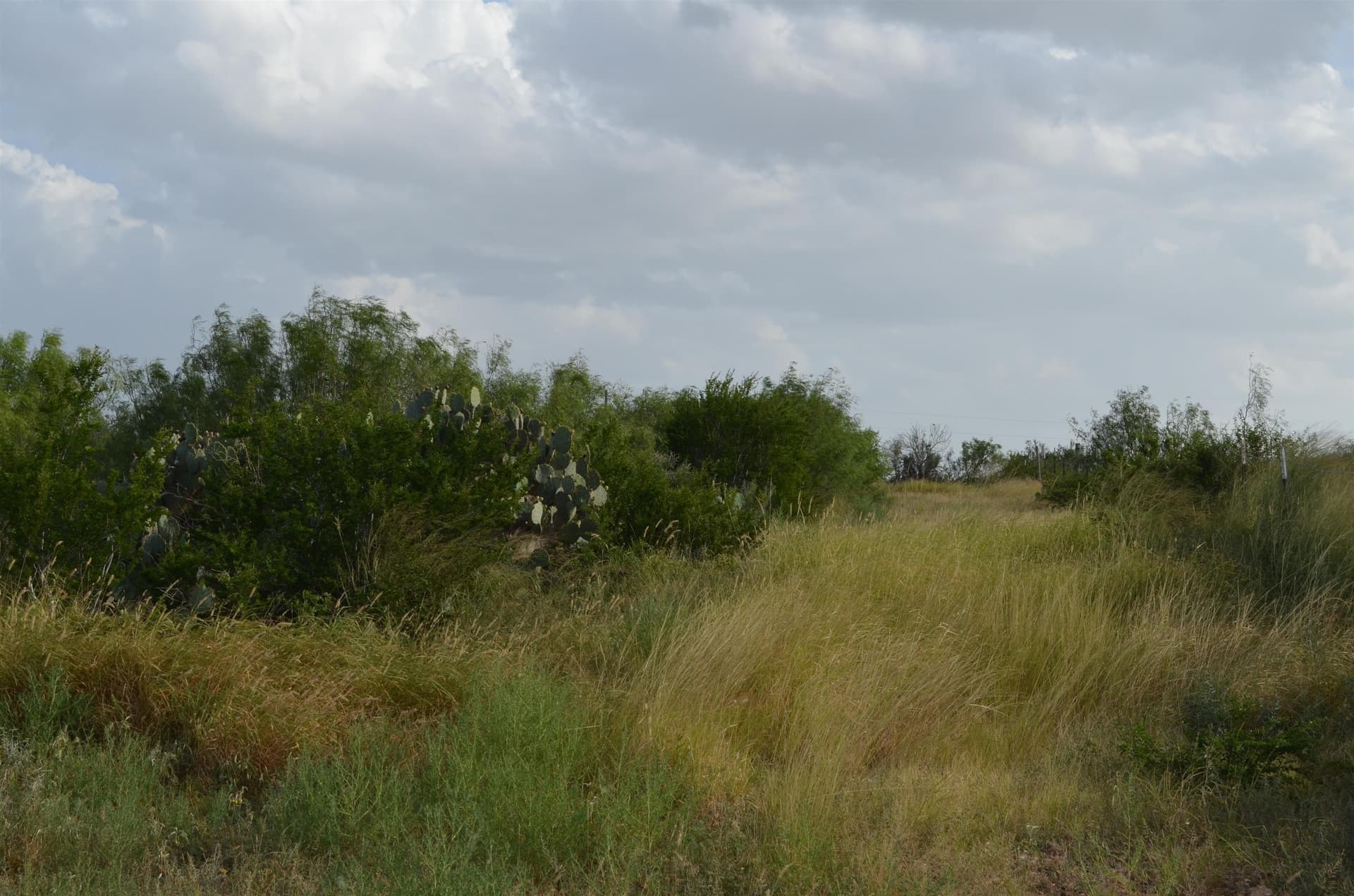 0.97 acres in Webb County - photo 11
